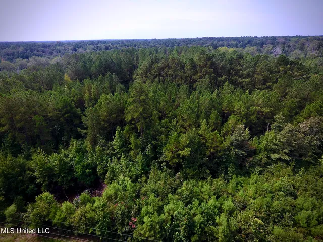 $89,000 | 0 Southeast Gill Drive, Brookhaven, MS 39601