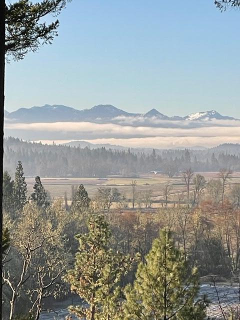 620 Eight Dollar Mountain Road Selma, OR 97538 - Photo 40 of 46 IMG_1124