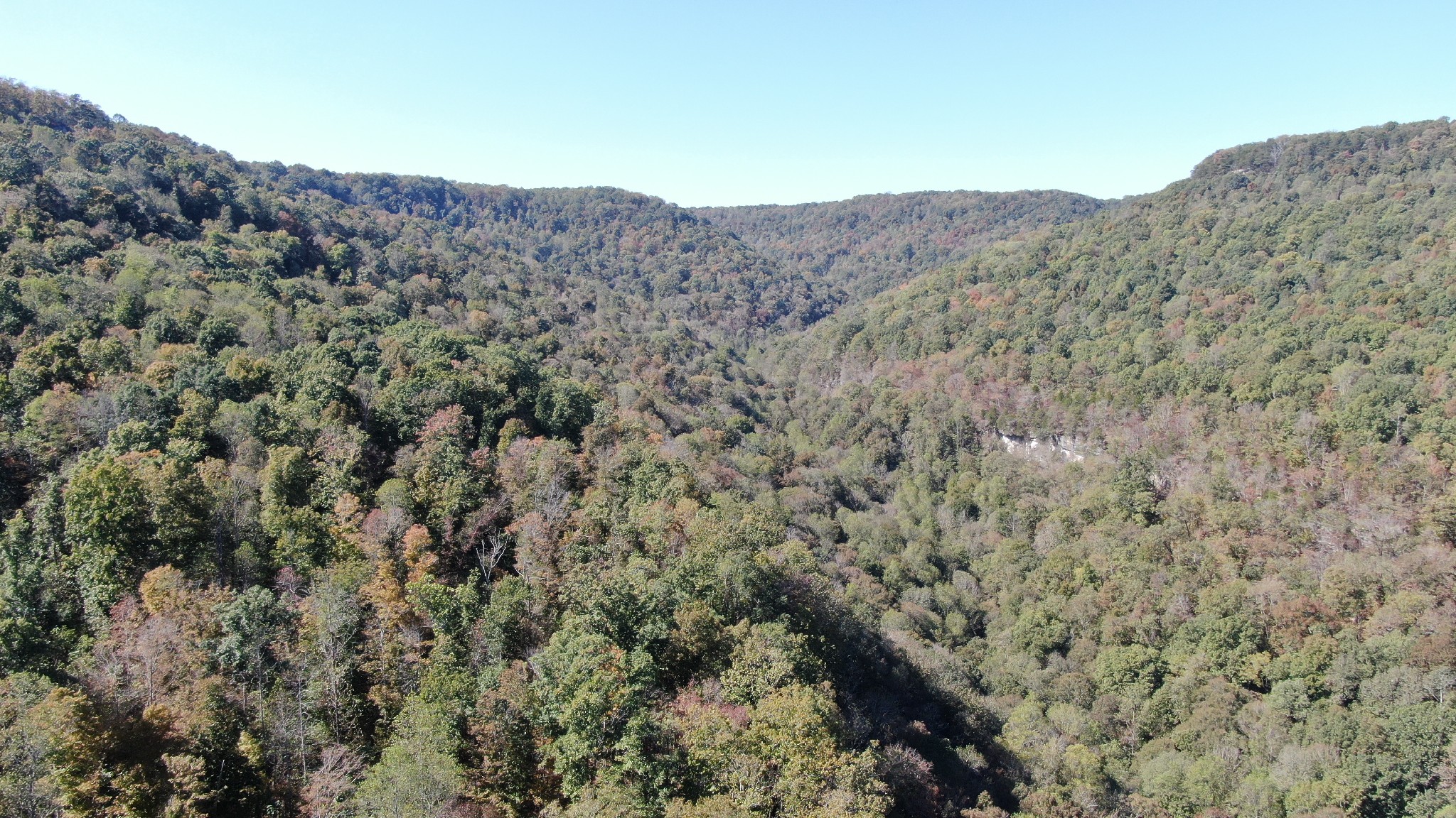 2815 Stagecoach Road Sewanee, TN 37375 - Photo 16 of 17 Gallery Image 16
