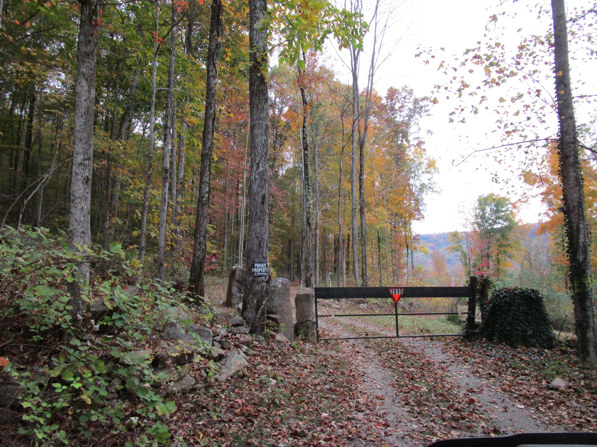 2815 Stagecoach Road Sewanee, TN 37375 - Photo 9 of 17 Gallery Image 9