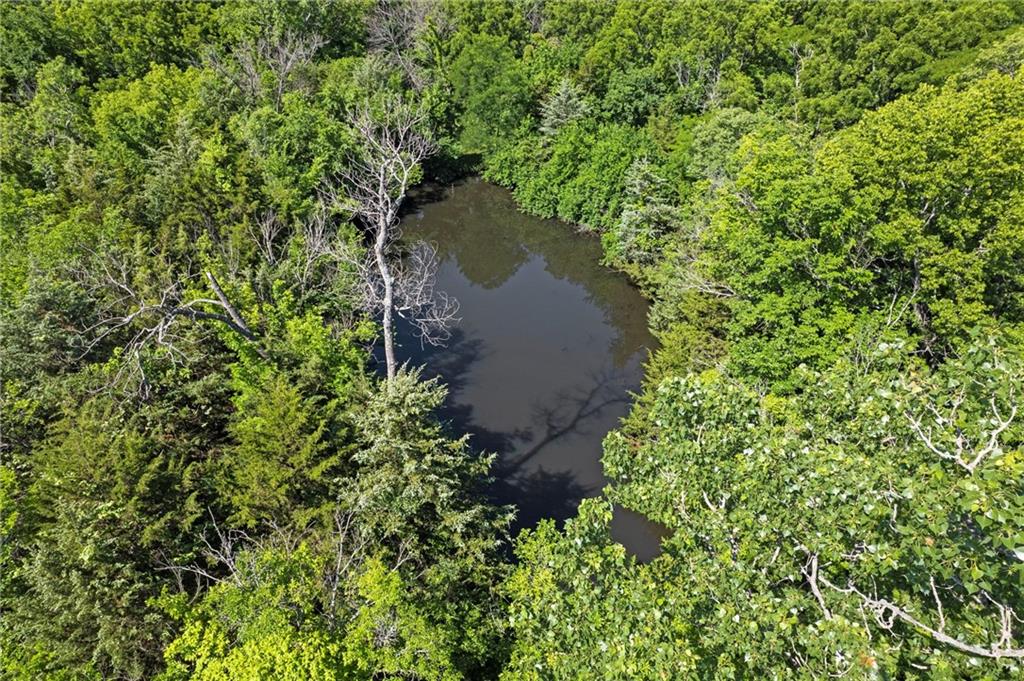 23404 Waverly Road Spring Hill, KS 66083 - Photo 35 of 46