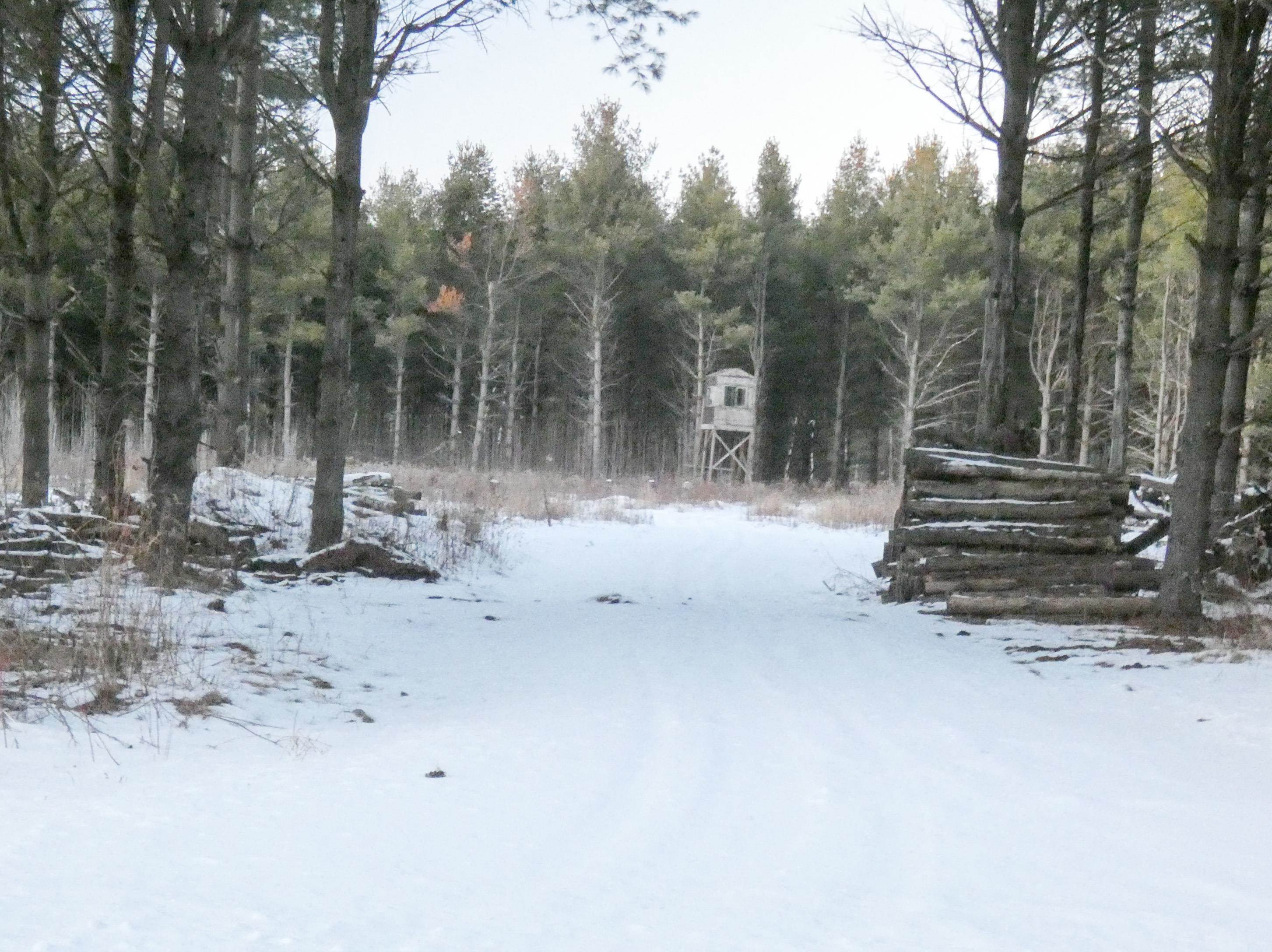 W4714 Landstad Road Bonduel, WI 54107 - Photo 30 of 30