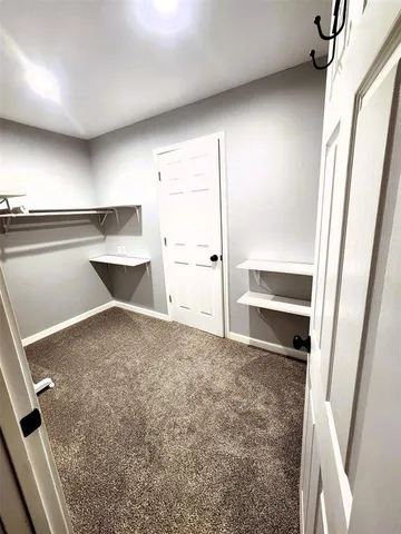 a bathroom with a shower and a toilet