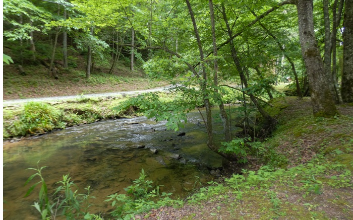 8235 Tails Creek Road Ellijay, GA 30540 - Photo 33 of 46 Additional View