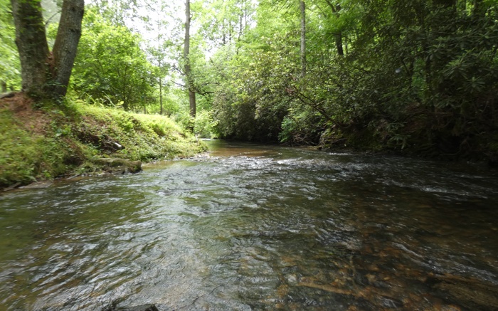 8235 Tails Creek Road Ellijay, GA 30540 - Photo 39 of 46 Additional View