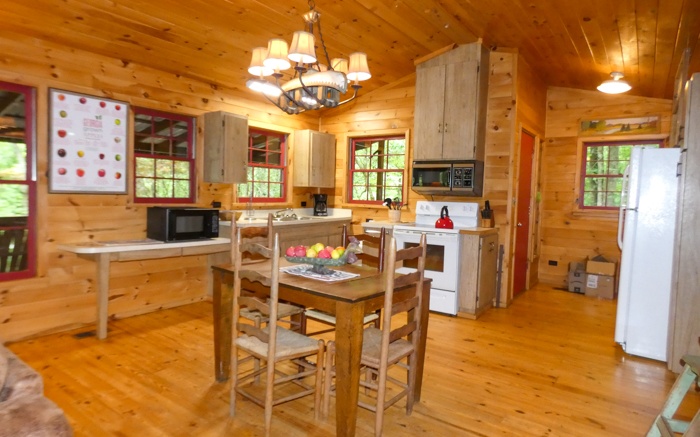 8235 Tails Creek Road Ellijay, GA 30540 - Photo 6 of 46 Additional View