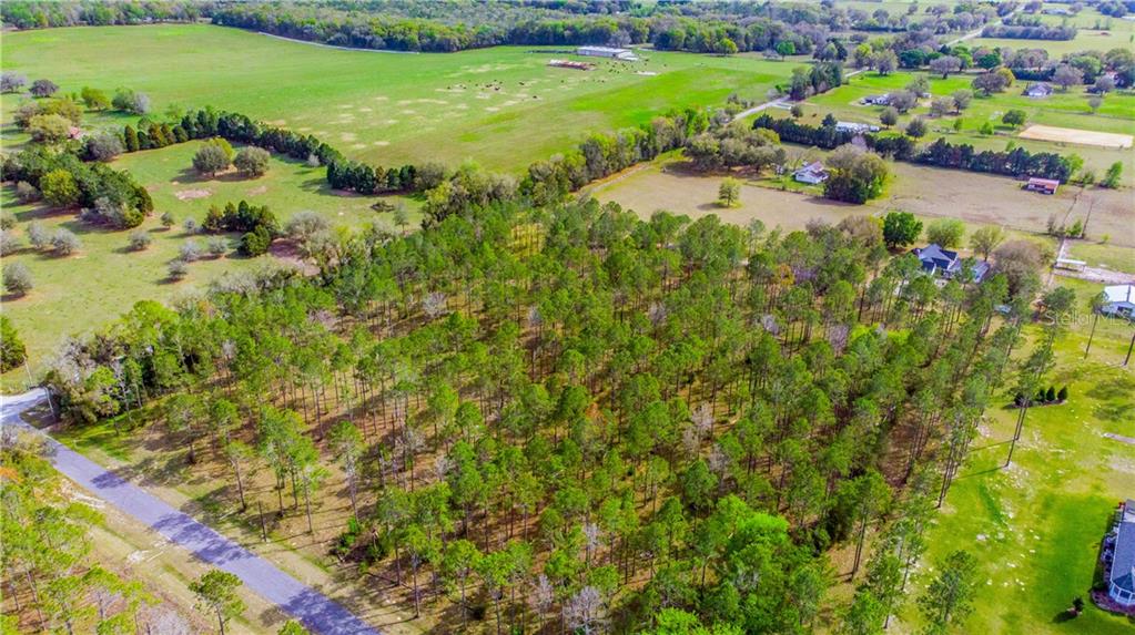 67 Pony Pond Road Dade City, FL 33523 - Photo 1 of 1 Gallery Image 1