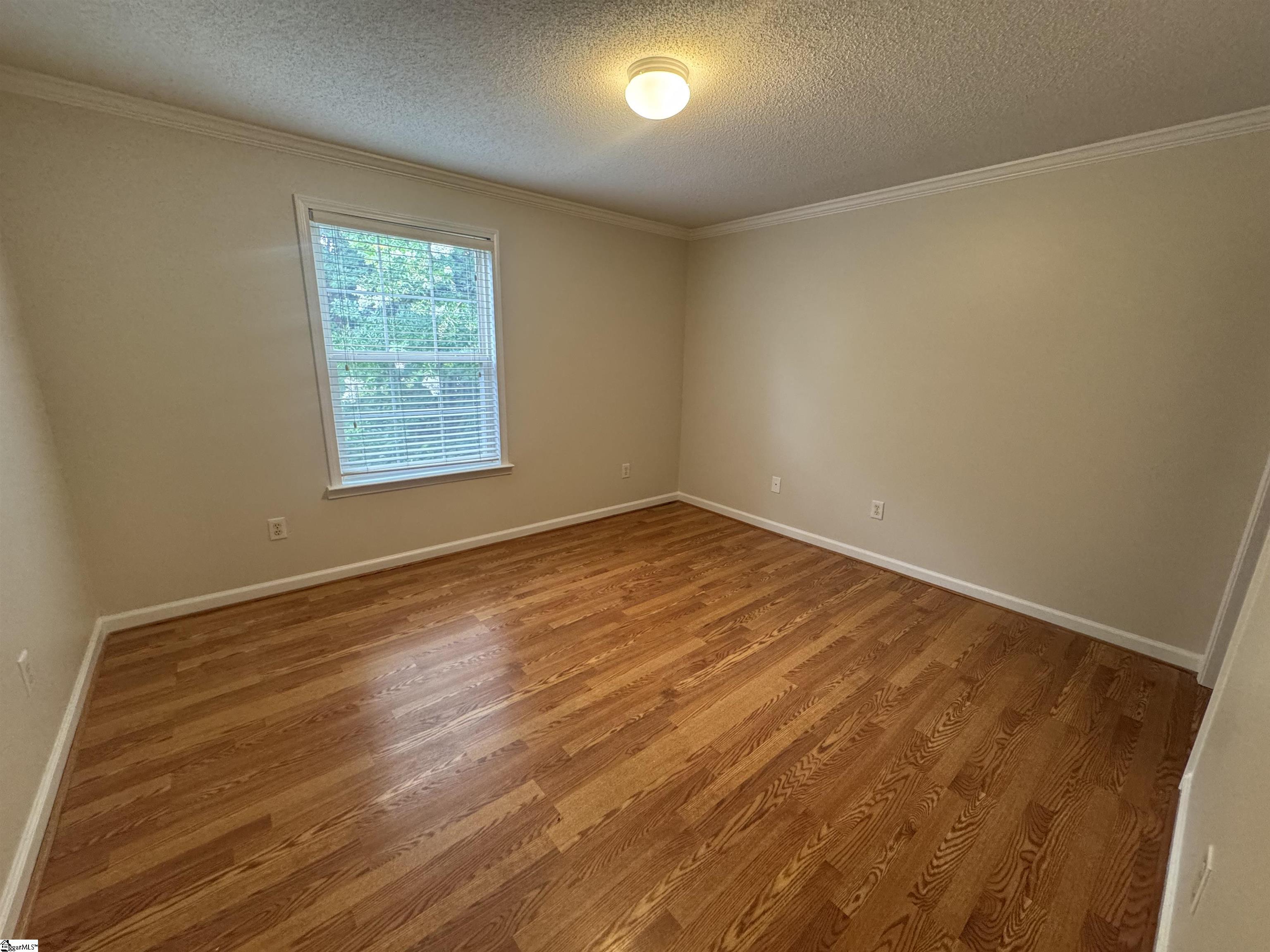 1007 Pelham Square Way Greer, SC 29650 - Photo 10 of 16