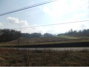 1958 Barren Valley Road Chuckey, TN 37641 - Photo 14 of 24 View Across the st