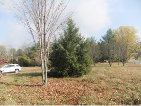 1958 Barren Valley Road Chuckey, TN 37641 - Photo 16 of 24 Front yard