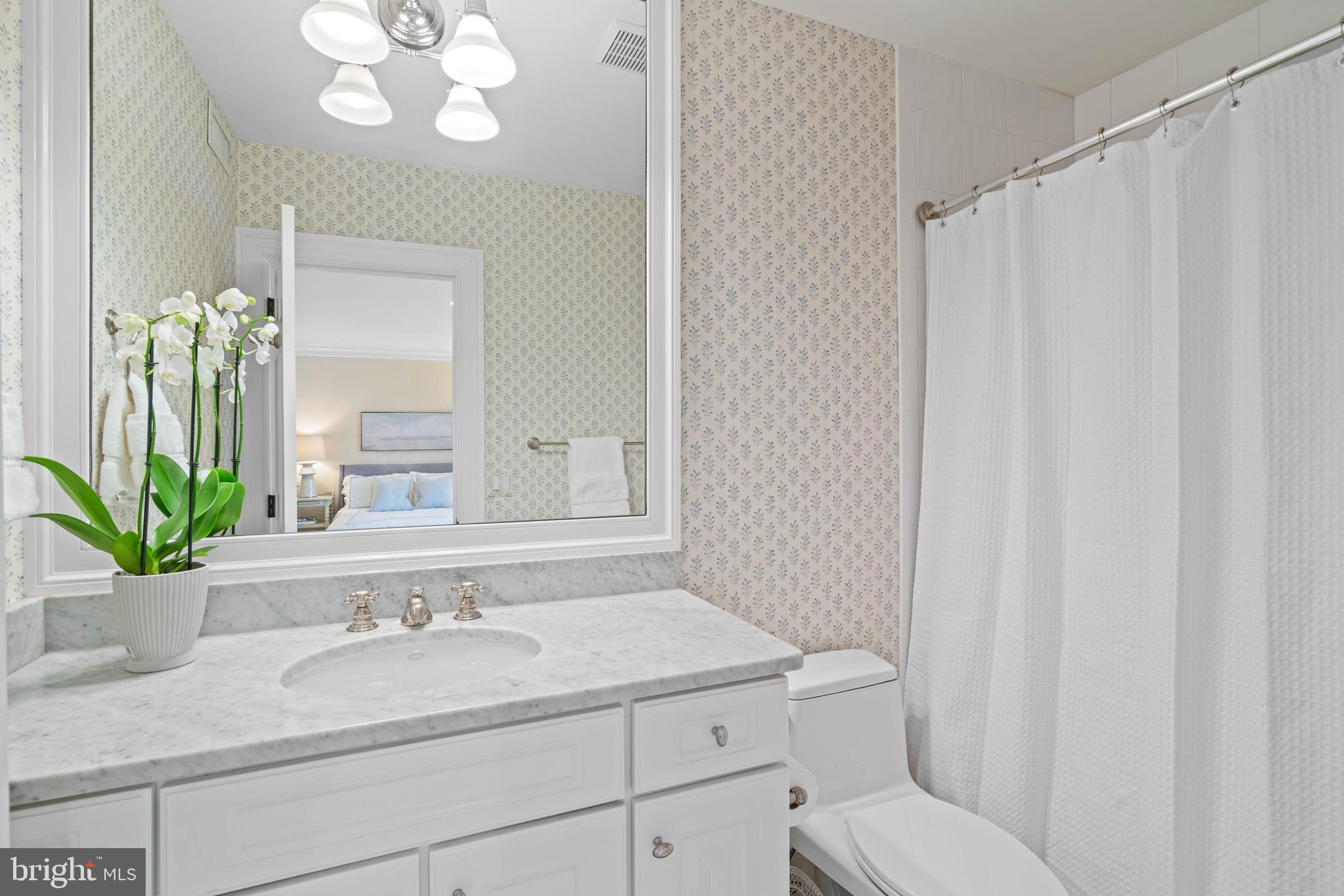 4641 Dexter Street Northwest Washington, DC 20007 - Photo 46 of 51 Bathroom