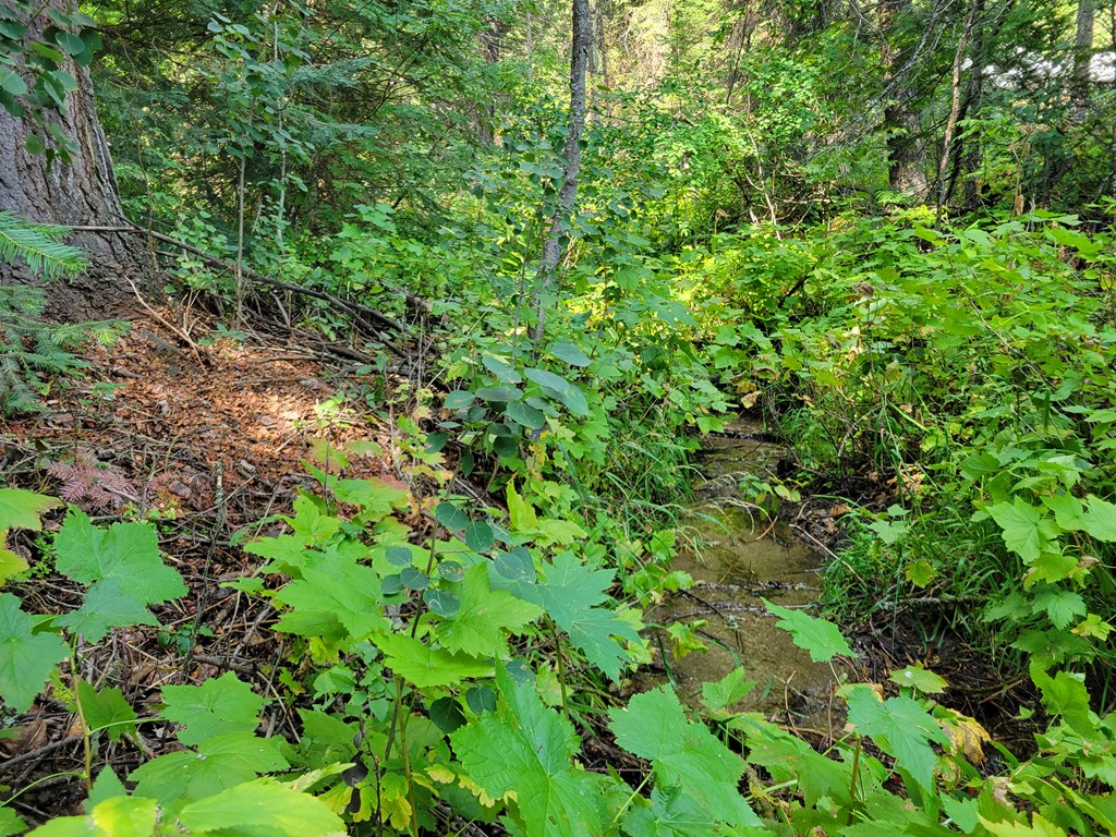1511 West Mountain Road Cascade, ID 83611 - Photo 43 of 45 The creek