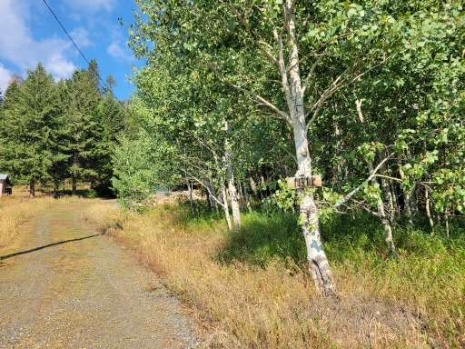 1511 West Mountain Road Cascade, ID 83611 - Photo 45 of 45 1511 West Mtn Rd and 1512 Vista Dr