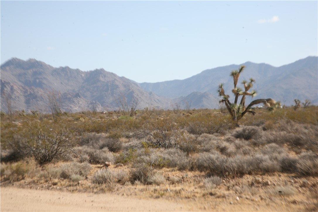 245-18-266 Alan Road Yucca, AZ 86438 - Photo 4 of 54