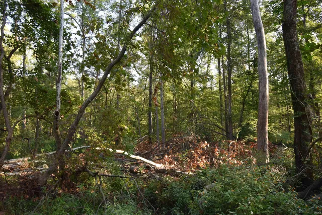 $151,200 | 0 South Meridian Road, Oakland City, IN 47660