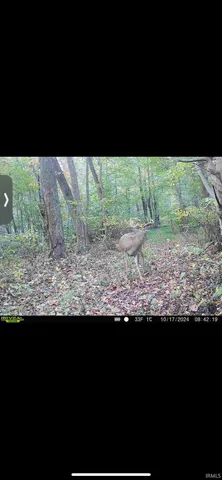 $151,200 | 0 South Meridian Road, Oakland City, IN 47660