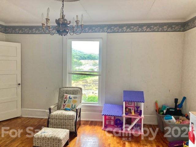 233 Blue Ridge Street Marion, NC 28752 - Photo 15 of 21 Gallery Image 15