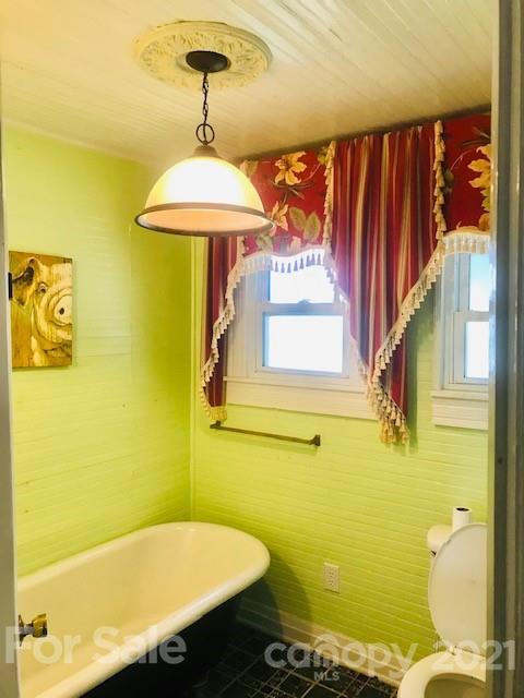233 Blue Ridge Street Marion, NC 28752 - Photo 18 of 21 Gallery Image 18
