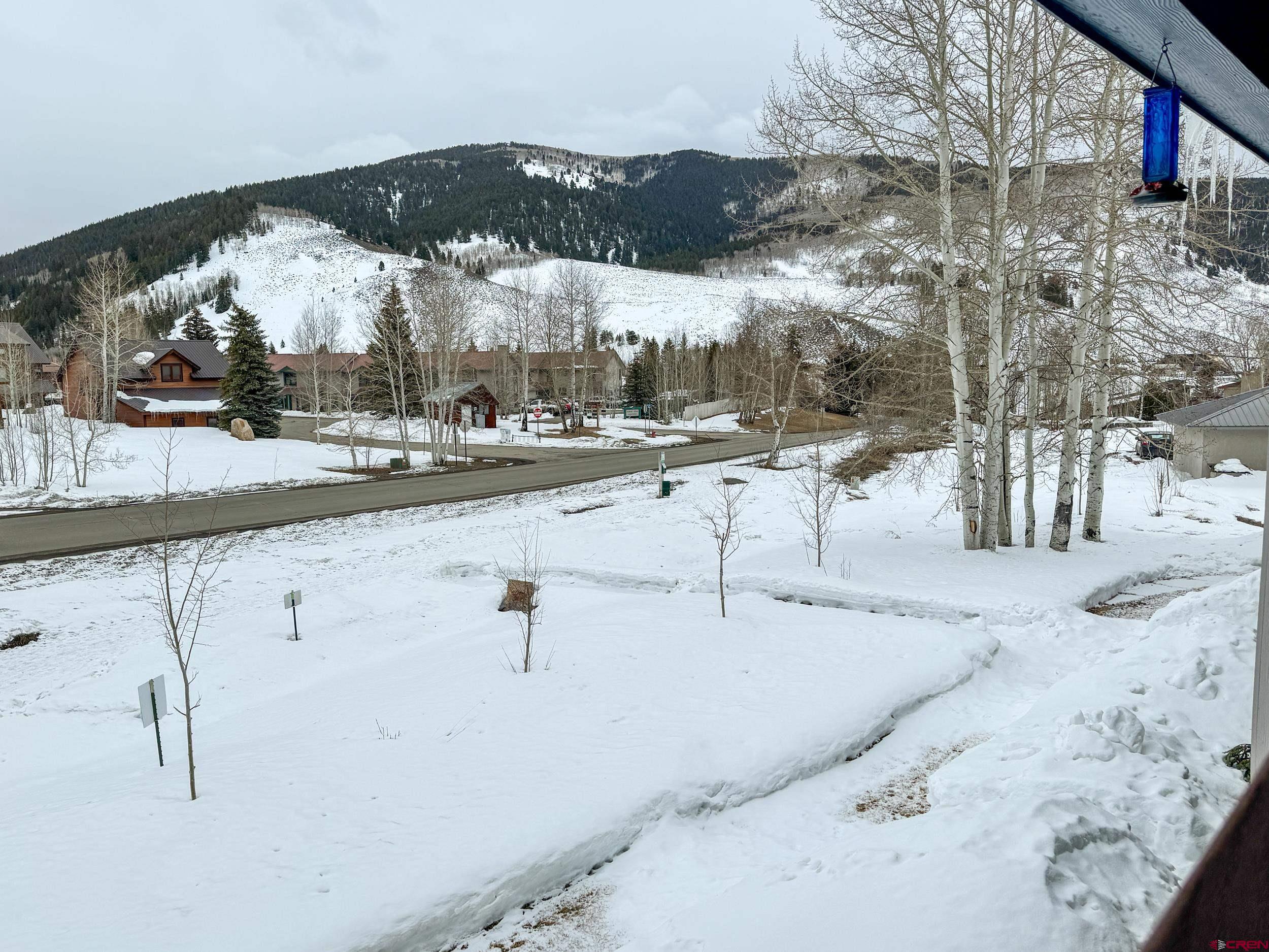 100 Teocalli Road, Unit 2 Crested Butte, CO 81224 - Photo 11 of 37 a view of a outdoor space
