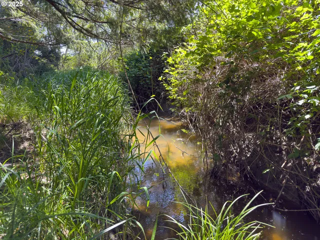 $820,000 | 48970 Highway 101, Bandon, OR 97411