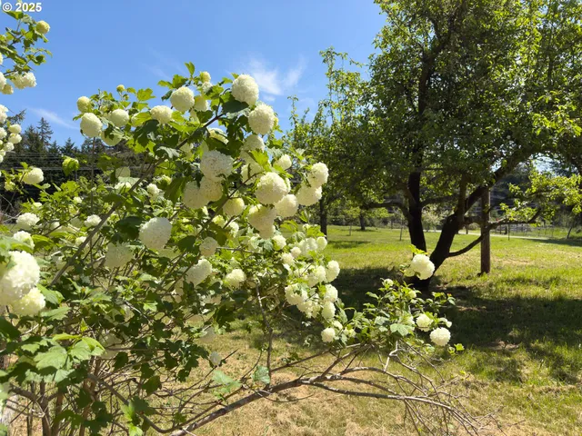 $820,000 | 48970 Highway 101, Bandon, OR 97411