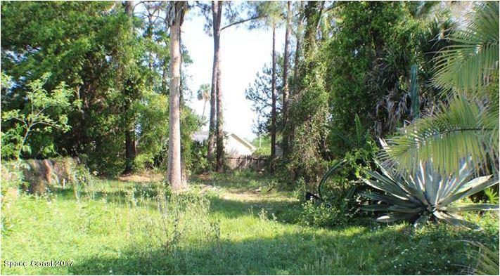280 Farmbrook Road Port Orange, FL 32127 - Photo 8 of 8 bk yard