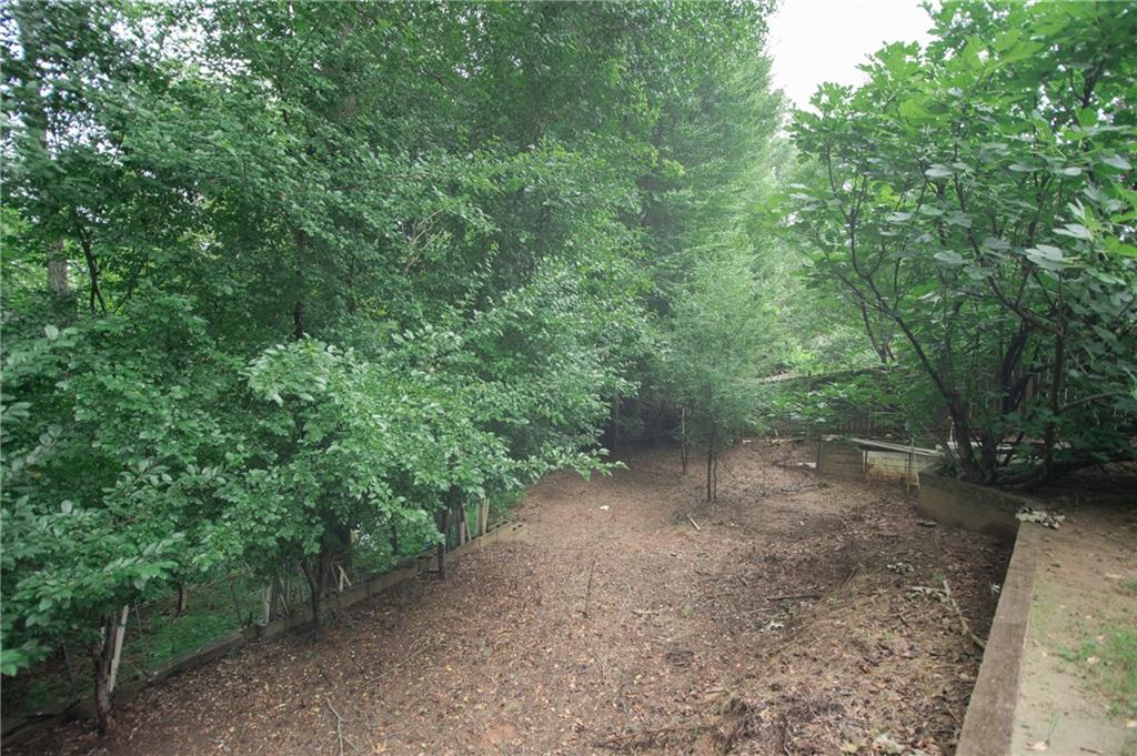 755 Sheridan Ridge Court Alpharetta, GA 30022 - Photo 51 of 57 a view of a forest with trees in the background