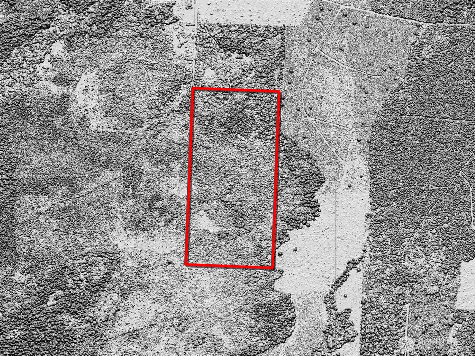 981 West Homer Adams Road Elma, WA 98541 - Photo 13 of 17