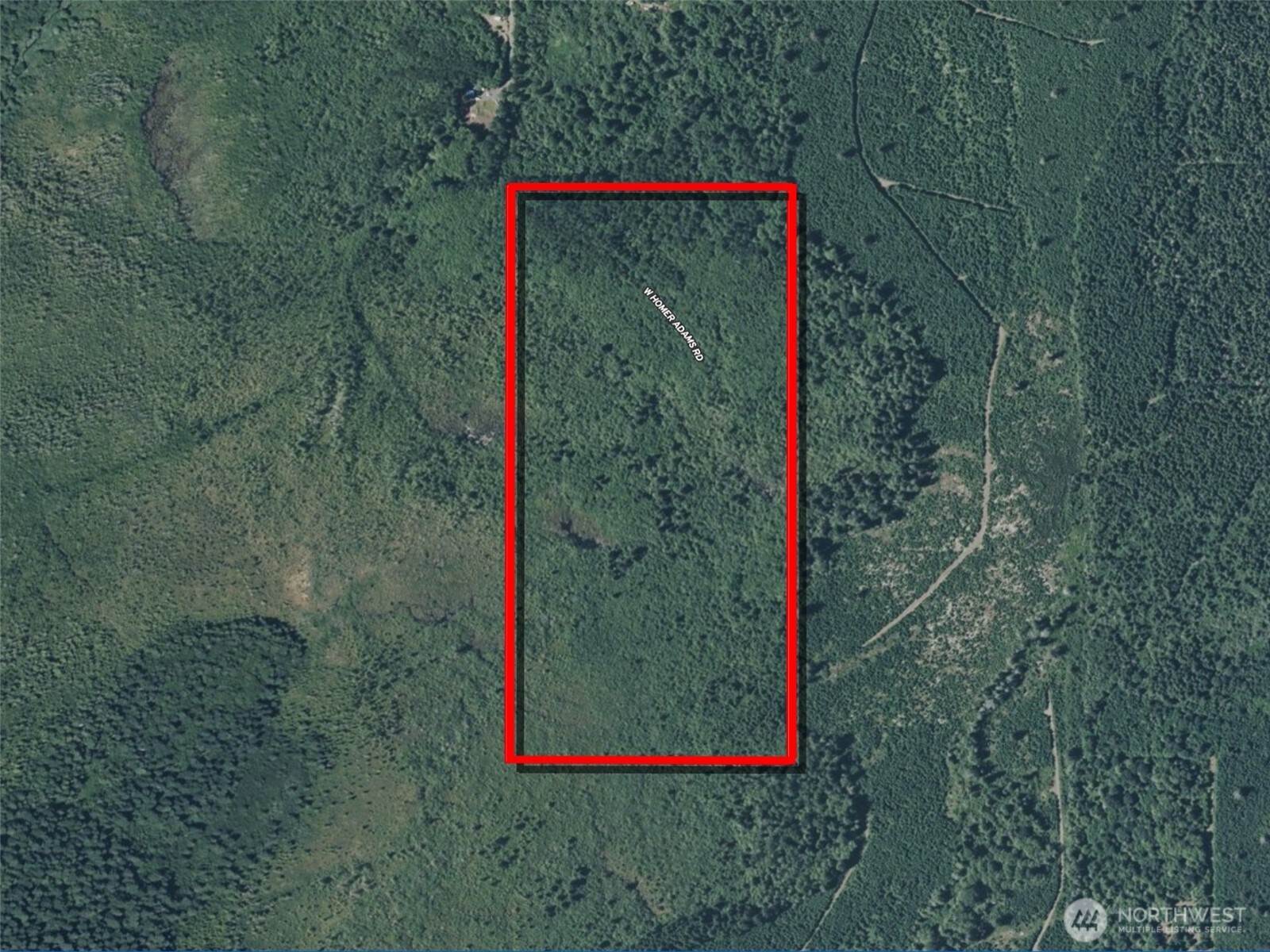 981 West Homer Adams Road Elma, WA 98541 - Photo 14 of 17