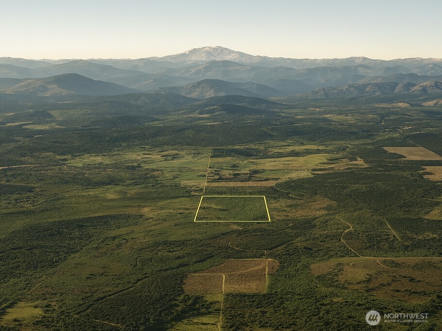 981 West Homer Adams Road Elma, WA 98541 - Photo 3 of 17