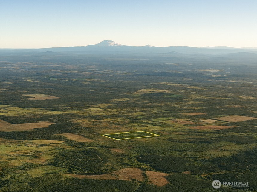 981 West Homer Adams Road Elma, WA 98541 - Photo 4 of 17