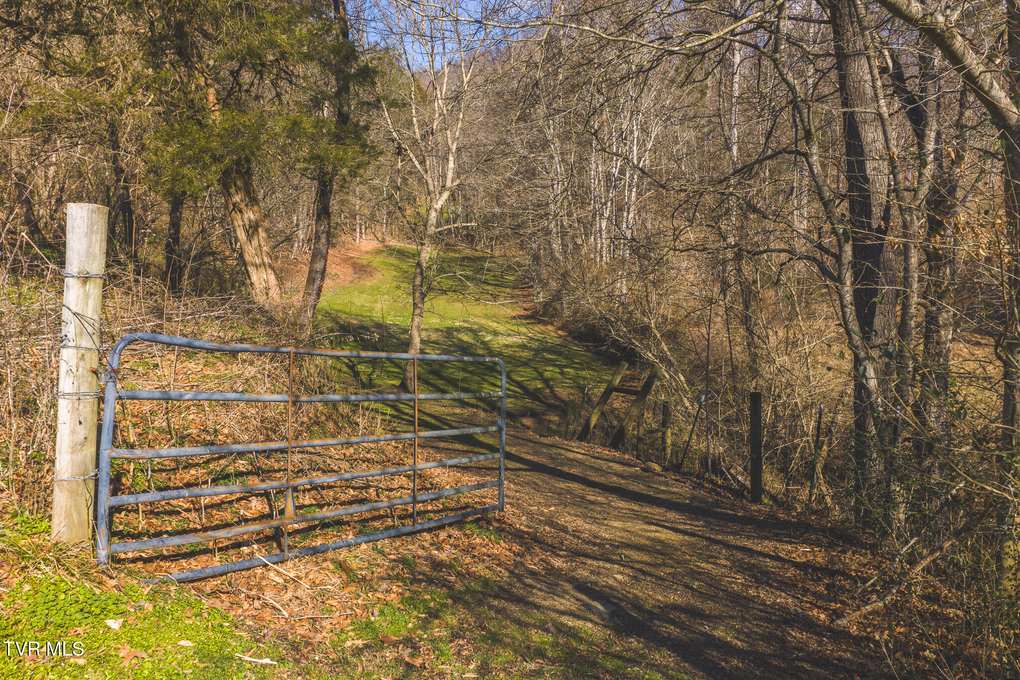 3381 Upper Caney Valley Road Tazewell, TN 37879 - Photo 12 of 51 DJI_20260119114936_0774_D