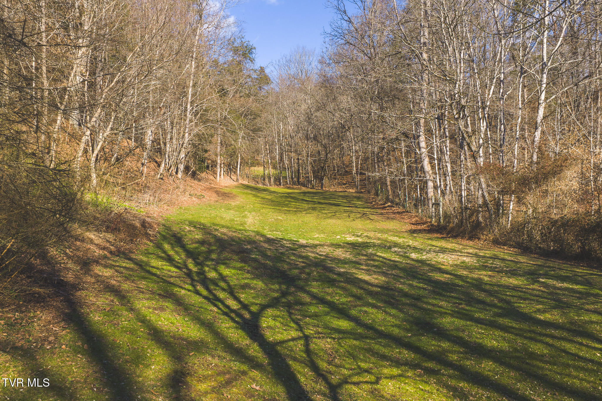 3381 Upper Caney Valley Road Tazewell, TN 37879 - Photo 13 of 51 DJI_20260119115045_0777_D