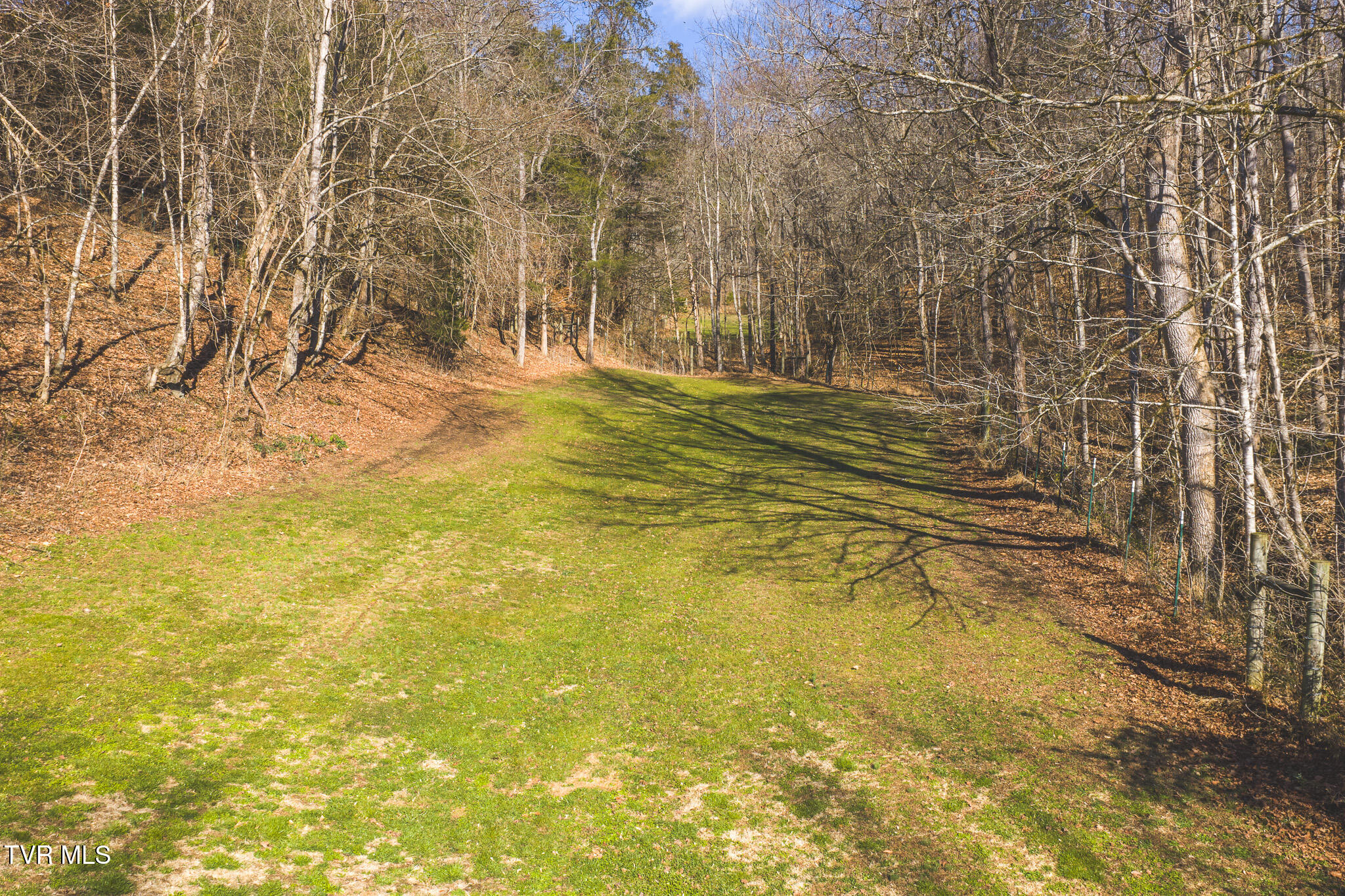 3381 Upper Caney Valley Road Tazewell, TN 37879 - Photo 14 of 51 DJI_20260119115112_0778_D