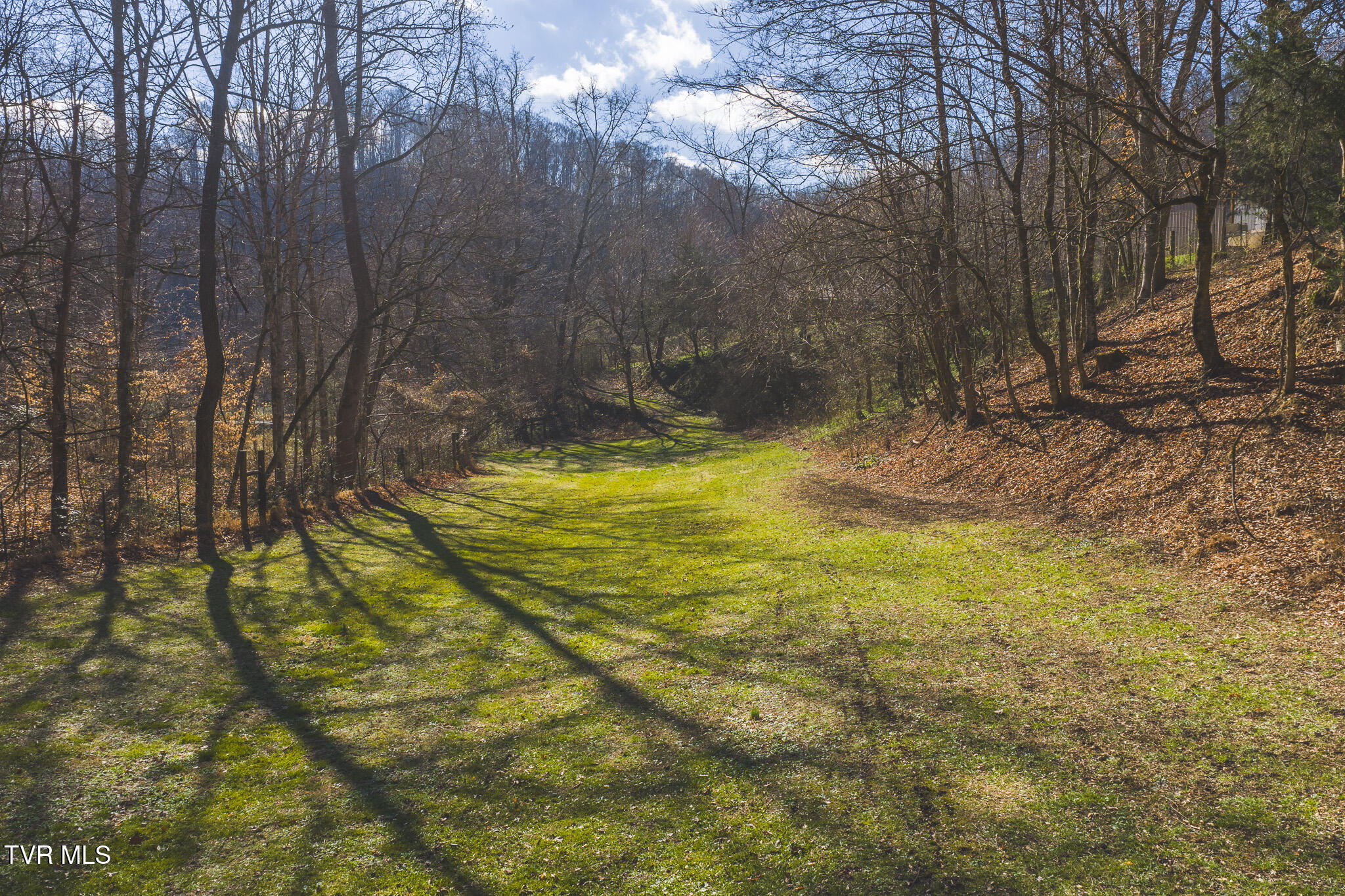 3381 Upper Caney Valley Road Tazewell, TN 37879 - Photo 15 of 51 DJI_20260119115157_0779_D