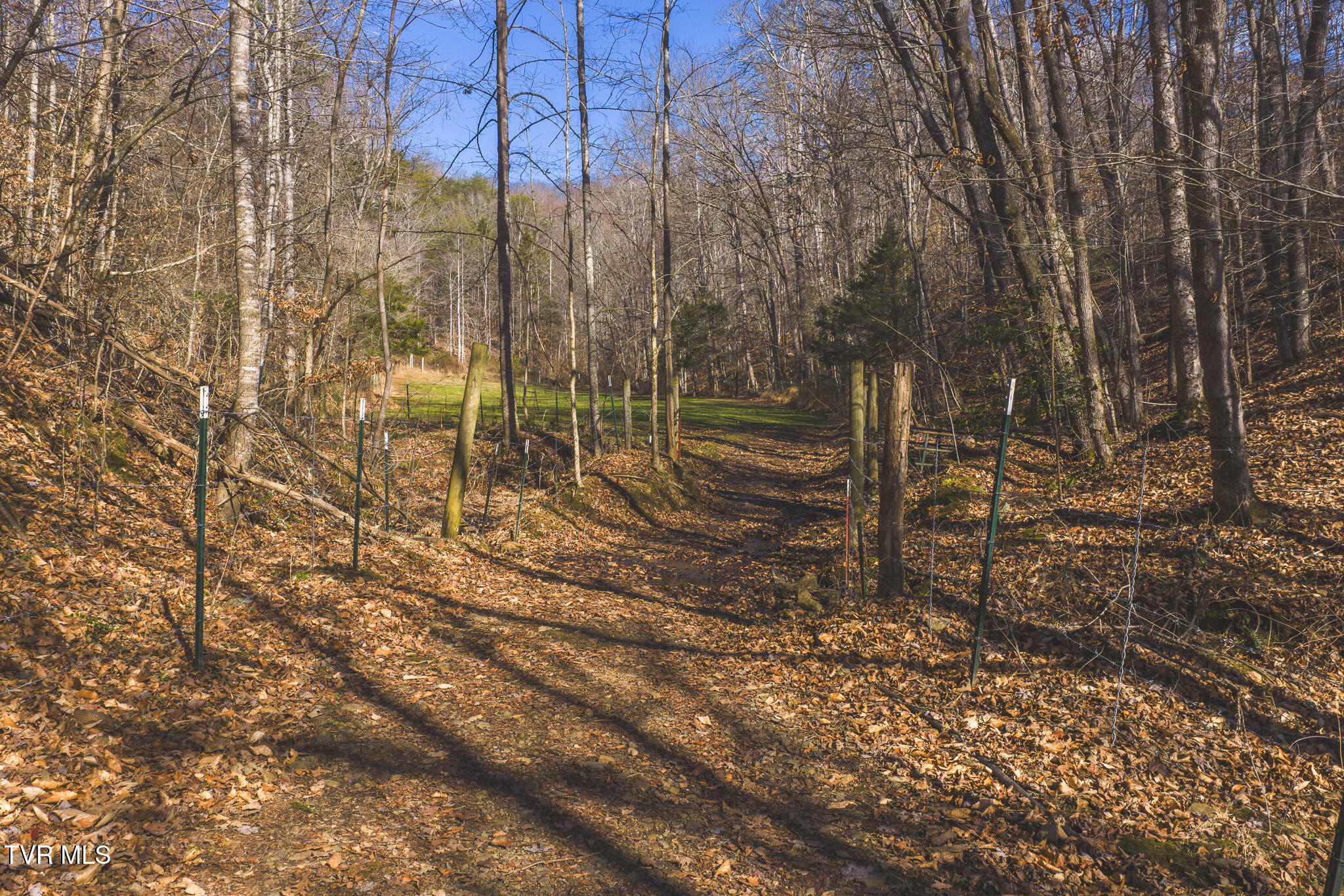 3381 Upper Caney Valley Road Tazewell, TN 37879 - Photo 16 of 51 DJI_20260119115550_0782_D