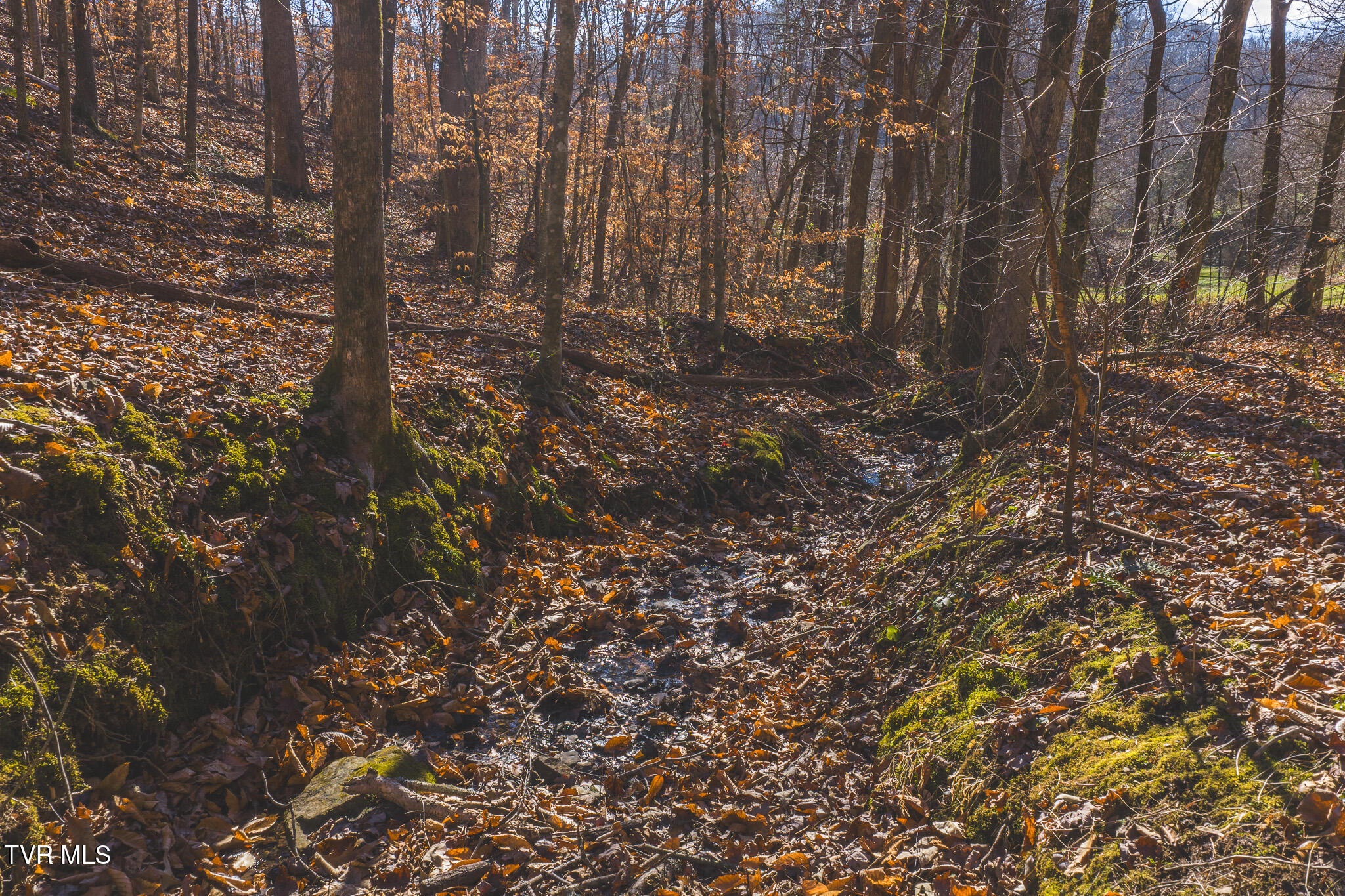 3381 Upper Caney Valley Road Tazewell, TN 37879 - Photo 18 of 51 DJI_20260119120022_0793_D