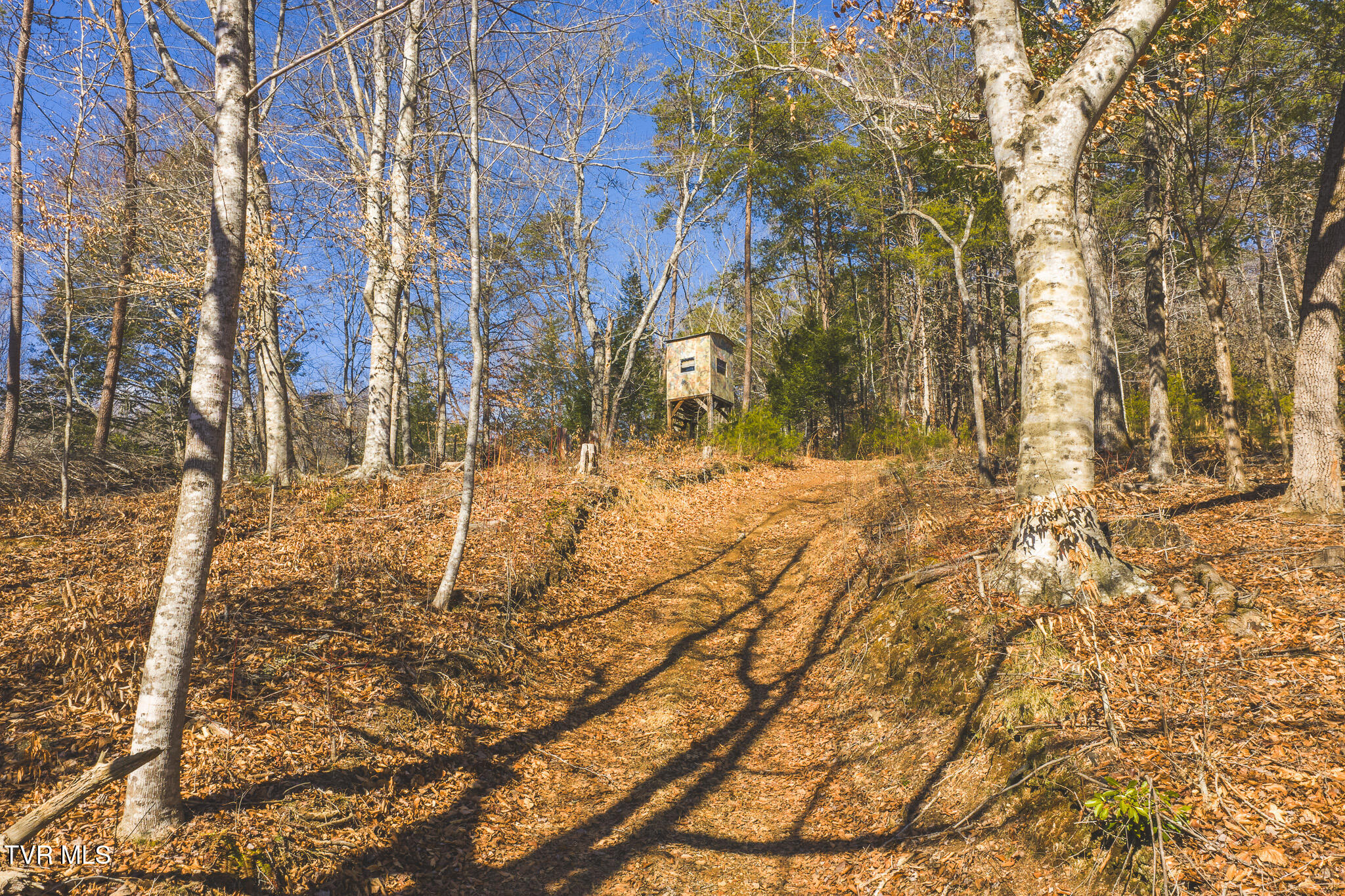 3381 Upper Caney Valley Road Tazewell, TN 37879 - Photo 21 of 51 DJI_20260119121656_0802_D