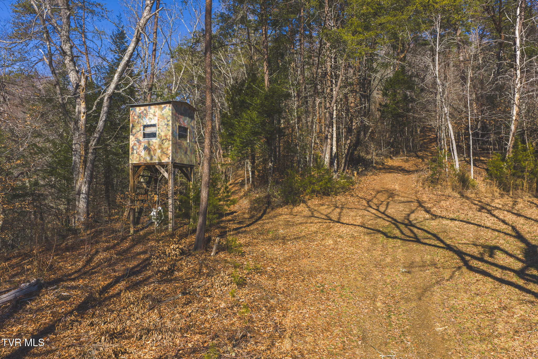 3381 Upper Caney Valley Road Tazewell, TN 37879 - Photo 22 of 51 DJI_20260119121743_0804_D