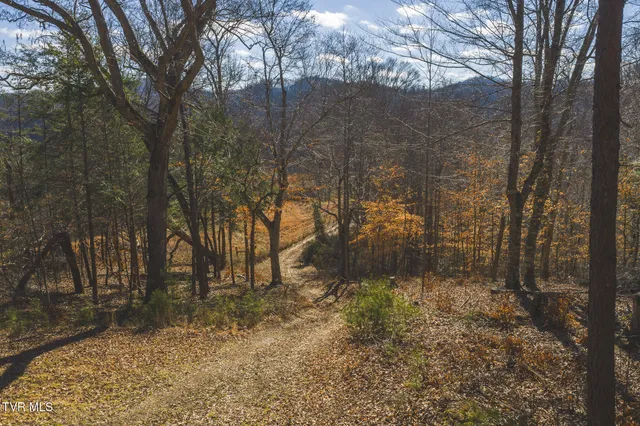$965,000 | 3381 Upper Caney Valley Road, Tazewell, TN 37879
