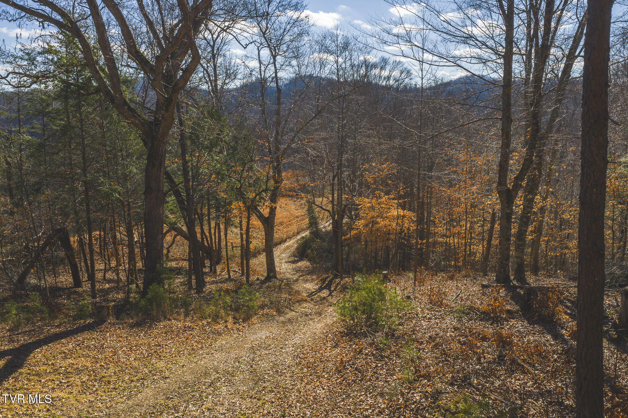 3381 Upper Caney Valley Road Tazewell, TN 37879 - Photo 23 of 51 DJI_20260119121907_0808_D