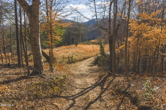 $965,000 | 3381 Upper Caney Valley Road, Tazewell, TN 37879