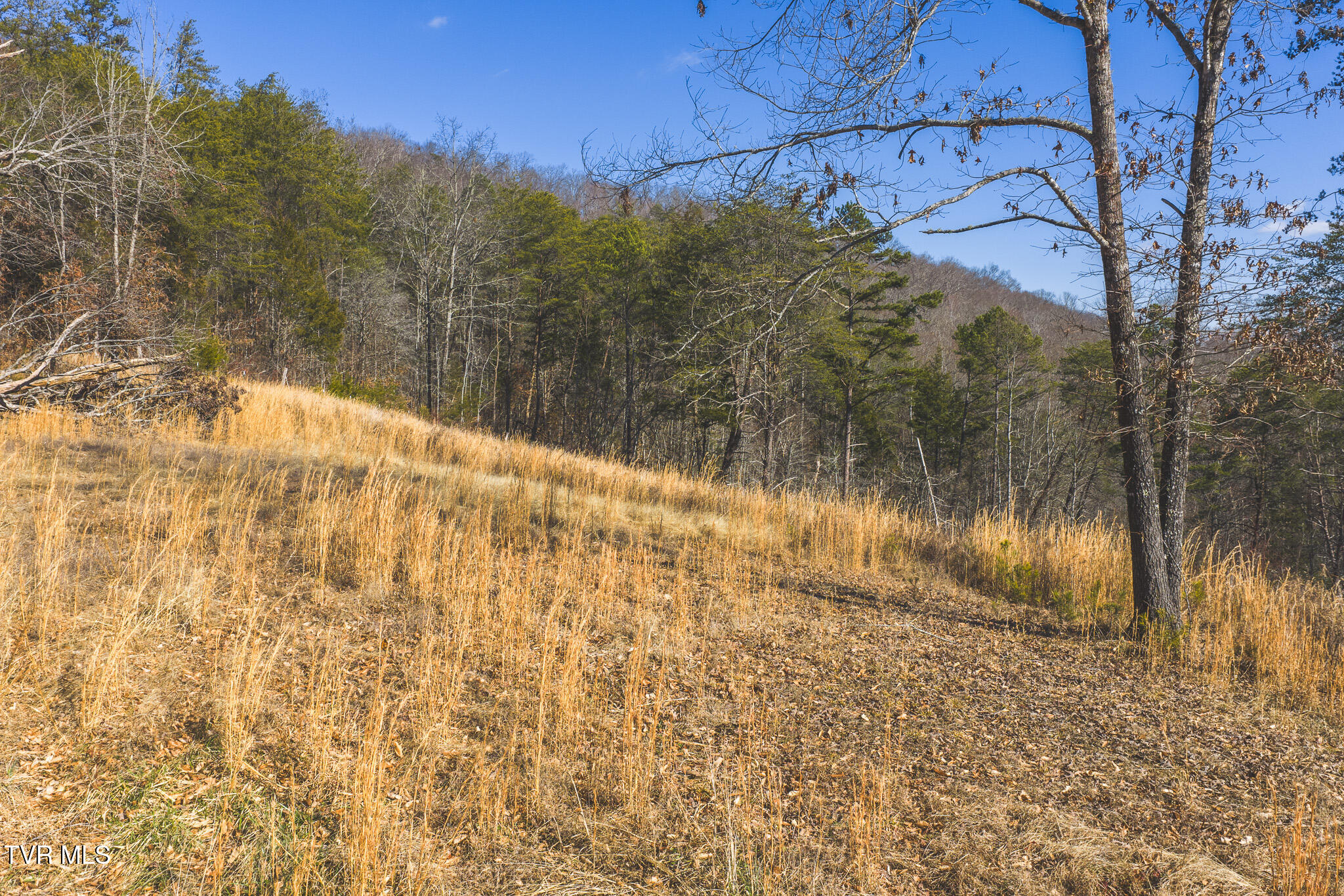 3381 Upper Caney Valley Road Tazewell, TN 37879 - Photo 25 of 51 DJI_20260119122042_0812_D