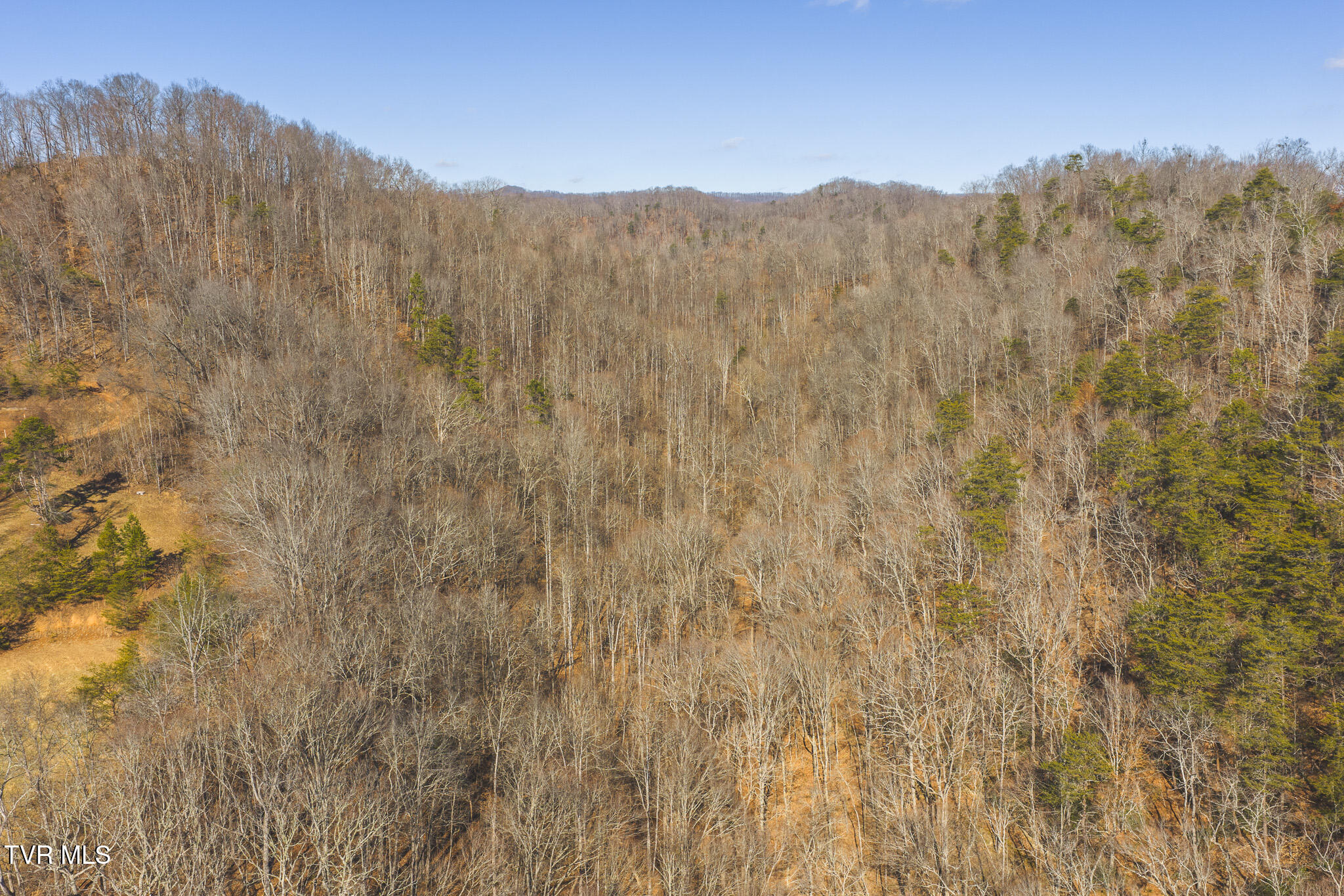 3381 Upper Caney Valley Road Tazewell, TN 37879 - Photo 26 of 51 DJI_20260119122152_0815_D