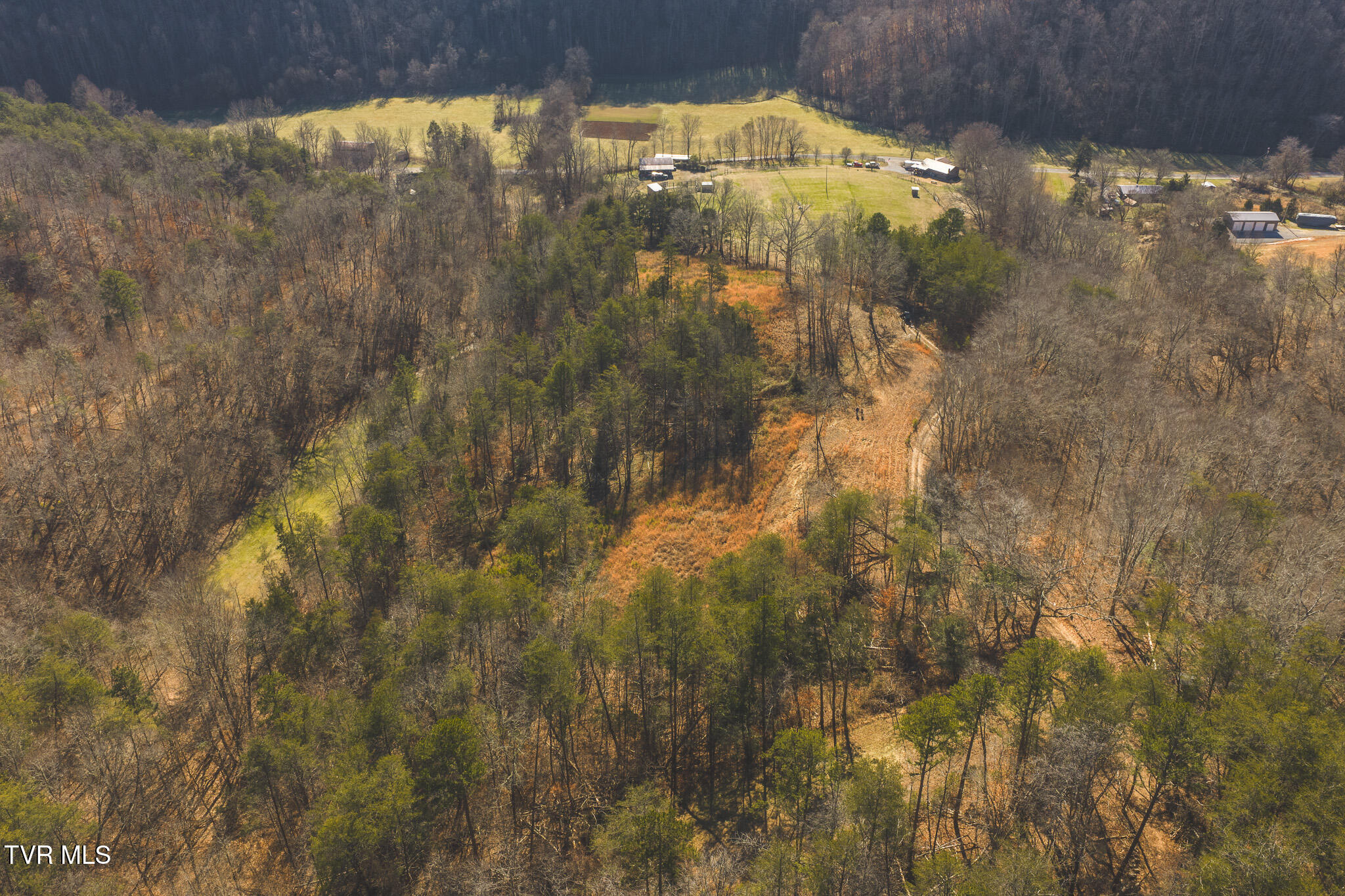 3381 Upper Caney Valley Road Tazewell, TN 37879 - Photo 28 of 51 DJI_20260119122332_0822_D