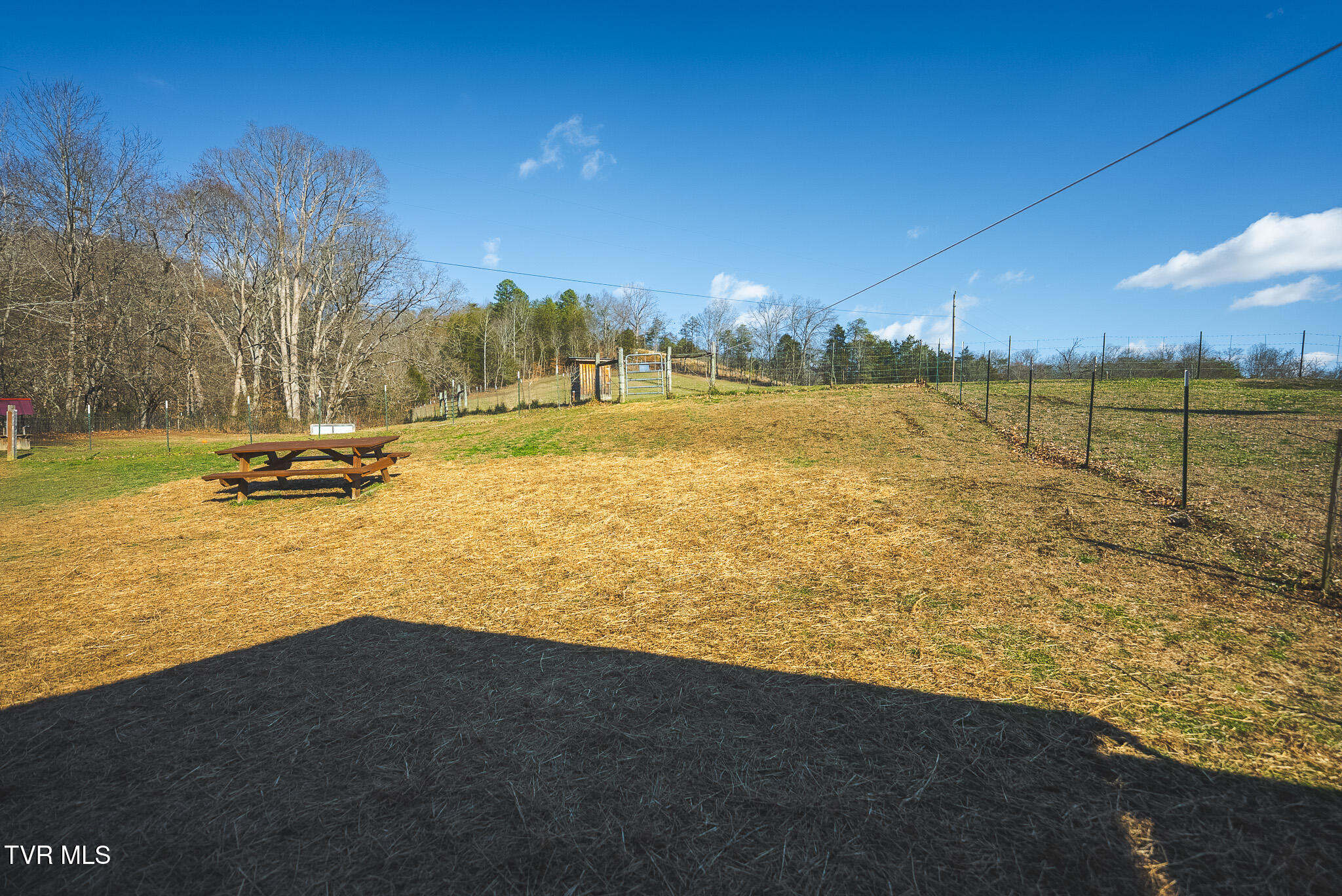 3381 Upper Caney Valley Road Tazewell, TN 37879 - Photo 4 of 51 DSC09603