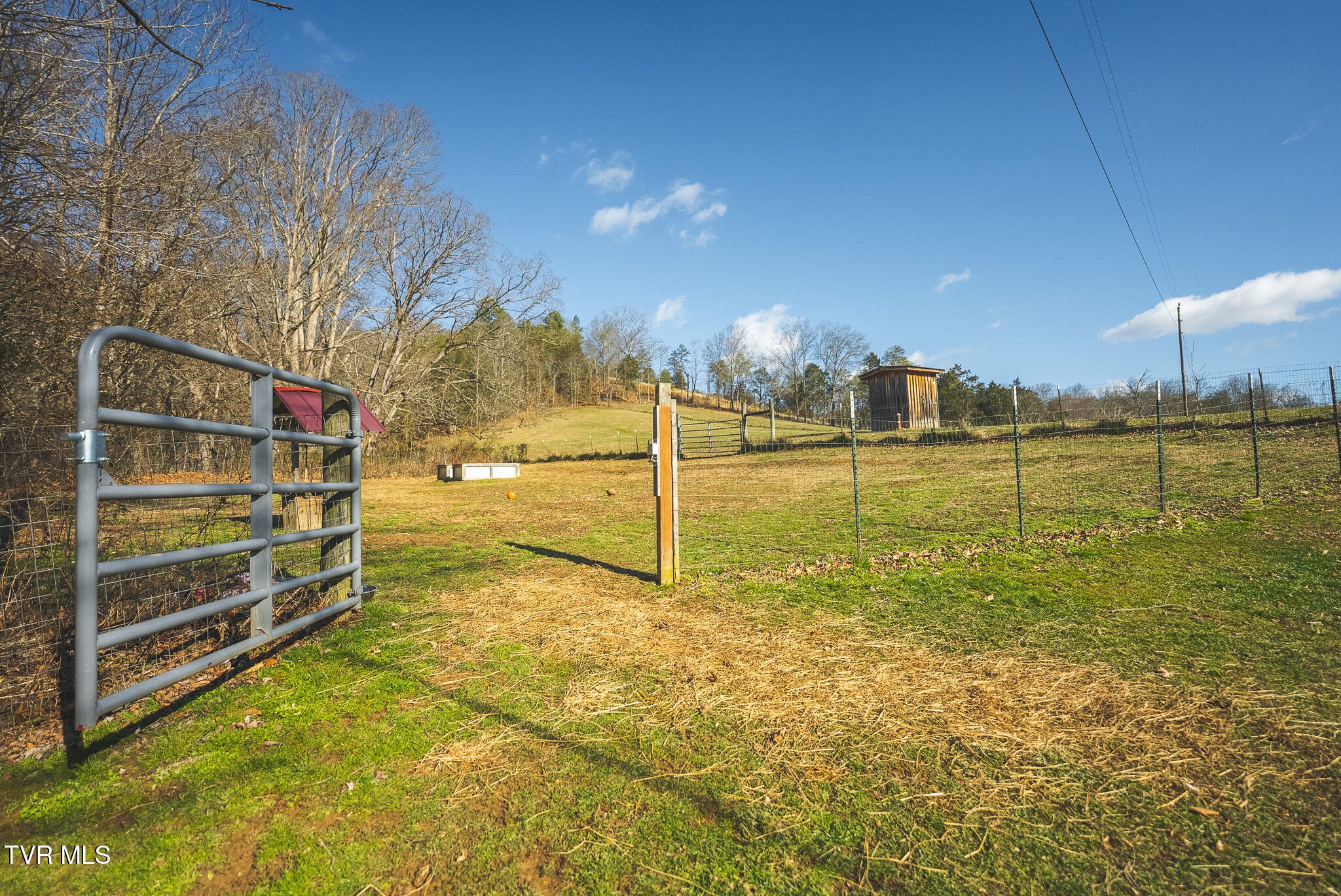 3381 Upper Caney Valley Road Tazewell, TN 37879 - Photo 6 of 51 DSC09608
