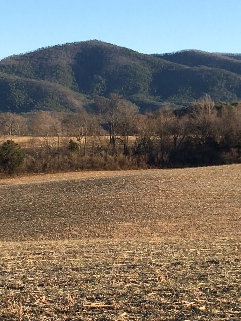 6066 Lee Jackson Highway Raphine, VA 24472 - Photo 3 of 19 Gallery Image 3