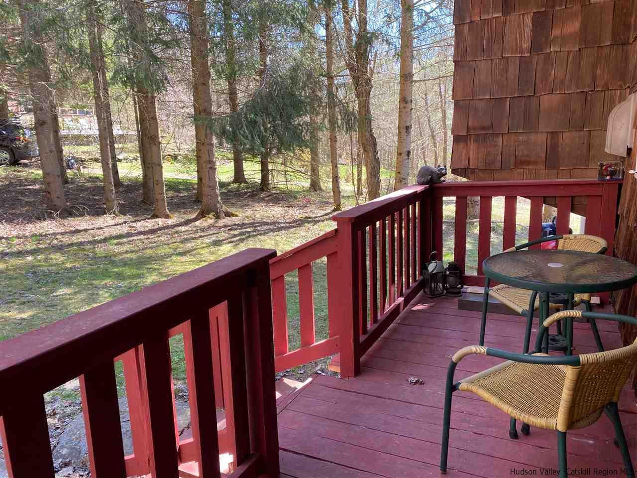 323 John B Hewitt Road Roxbury, NY 12421 - Photo 28 of 34 Photo 29