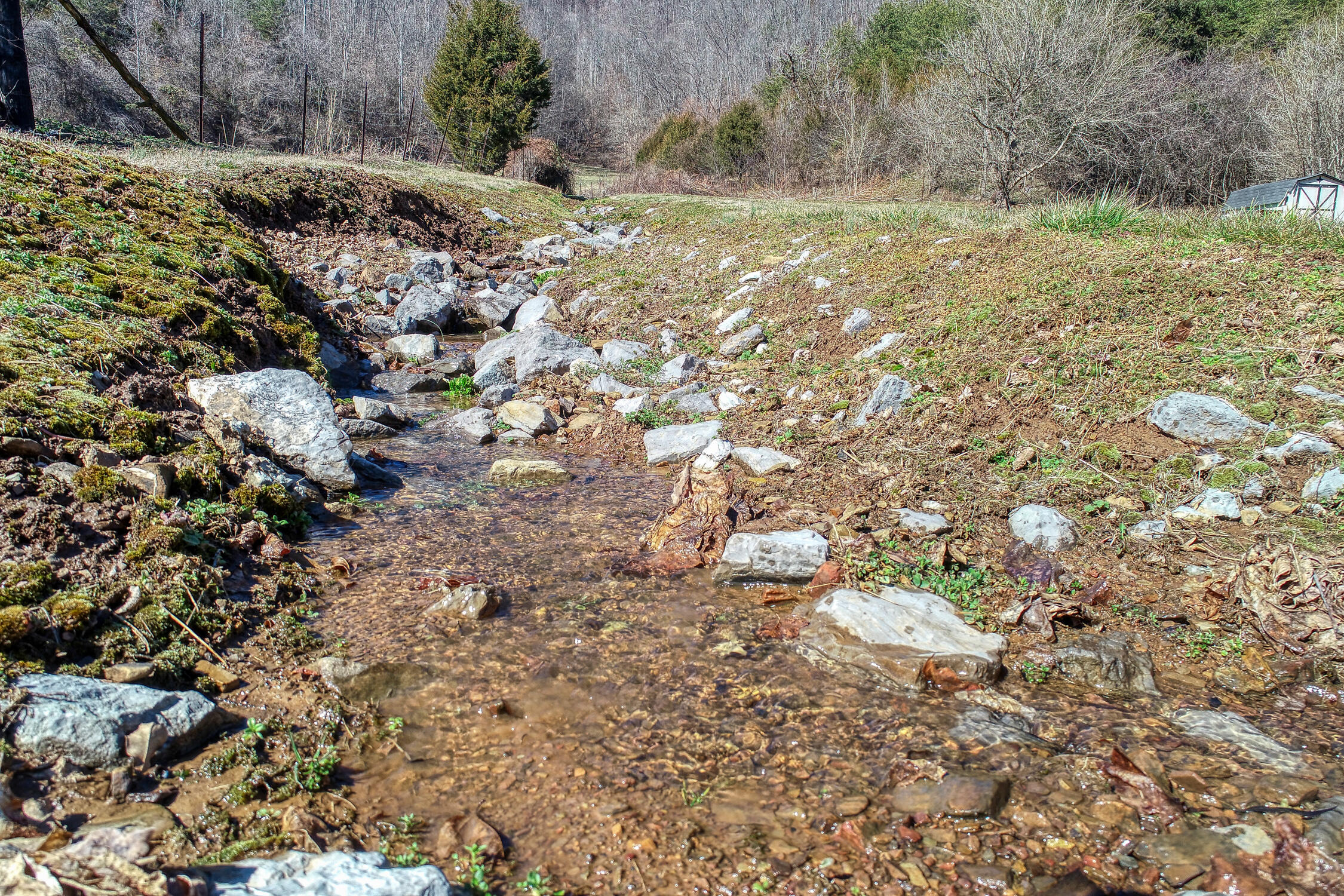 375 East Pumpkin Valley Road Eidson, TN 37731 - Photo 10 of 53 CBJ. 375 E Pumpkin Valley. Eidson MLSa